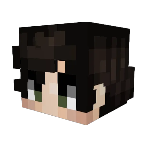 Rardrow Minecraft avatar head, 3D render