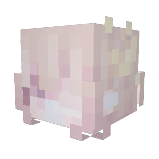 Rare0103 Minecraft avatar head, 3D render