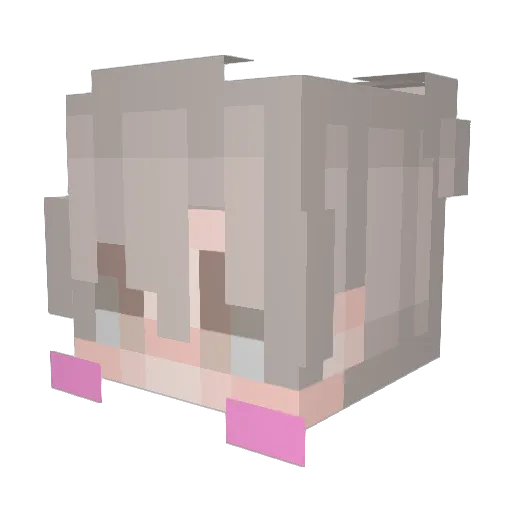 Rare09 Minecraft avatar head, 3D render
