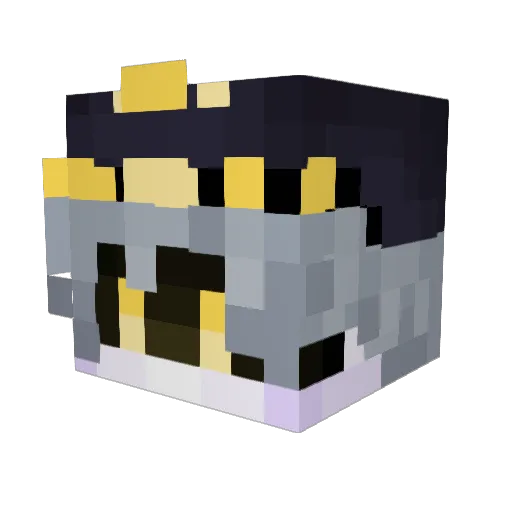 RareAaronnn Minecraft avatar head, 3D render