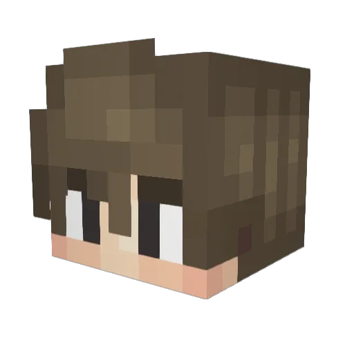 RareAlaskan Minecraft avatar head, 3D render