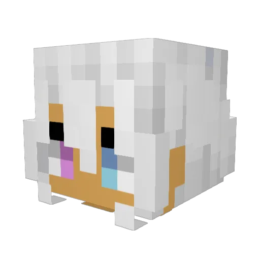 RareAnemone3 Minecraft avatar head, 3D render