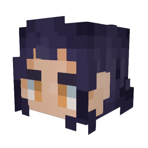RareAussieEmu Minecraft avatar head, 3D render