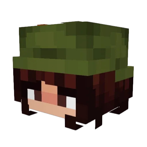 RareBumblebee44 Minecraft avatar head, 3D render