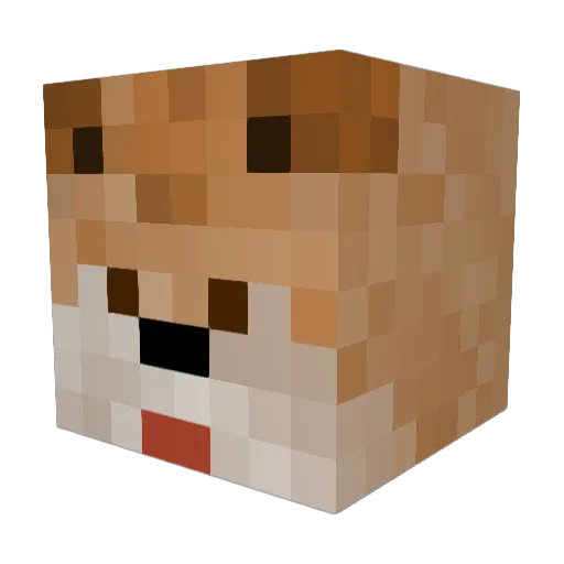 RareDingo5975 Minecraft avatar head, 3D render