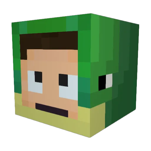 RareFireTurtle Minecraft avatar head, 3D render