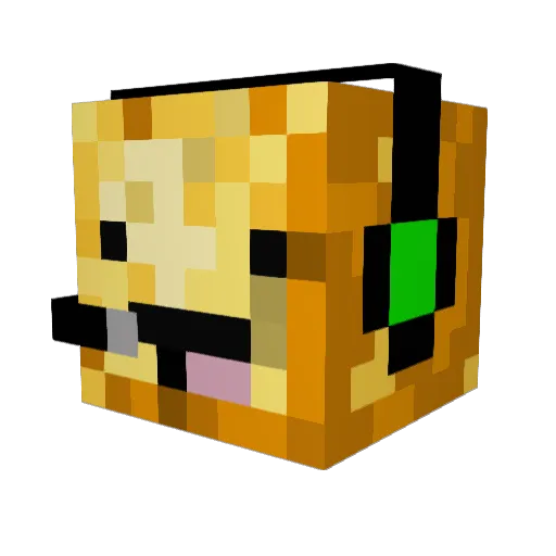 RarePotatoe Minecraft avatar head, 3D render