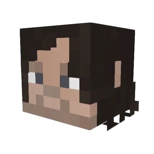 RareSeeker9207 Minecraft avatar head, 3D render