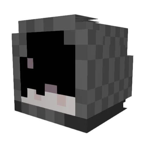 RareTonyy Minecraft avatar head, 3D render