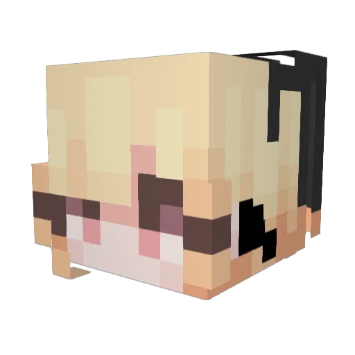 Rares5000 Minecraft avatar head, 3D render