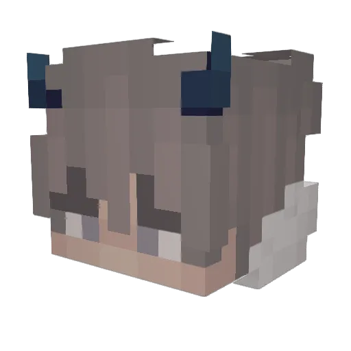 RaresGames111 Minecraft avatar head, 3D render