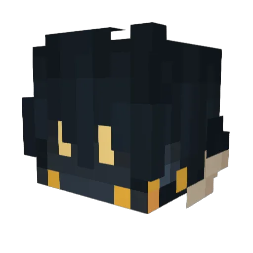 Raro9272 Minecraft avatar head, 3D render