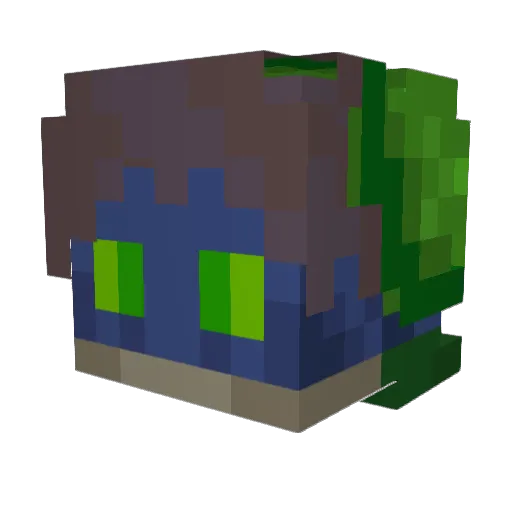 Rars_290 Minecraft avatar head, 3D render