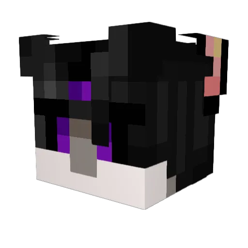 RasRAT Minecraft avatar head, 3D render