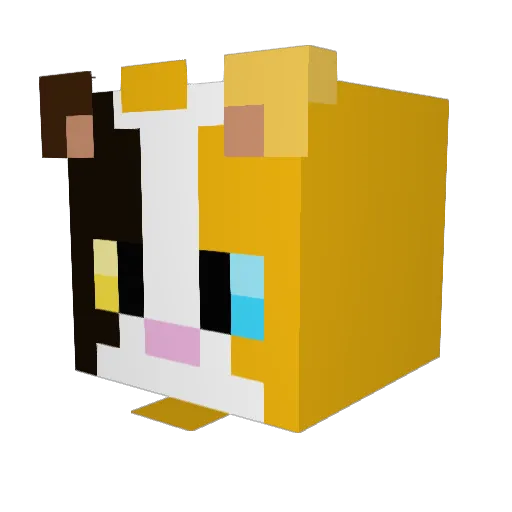 Rasafrass Minecraft avatar head, 3D render