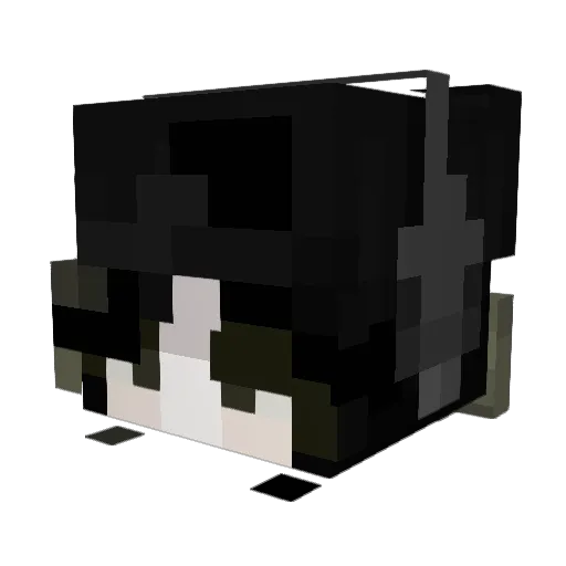 Rasandemusen Minecraft avatar head, 3D render