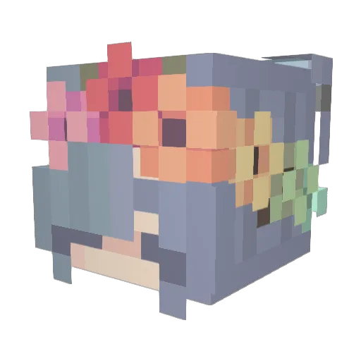 Rasbearity Minecraft avatar head, 3D render