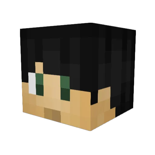 Rasblue Minecraft avatar head, 3D render