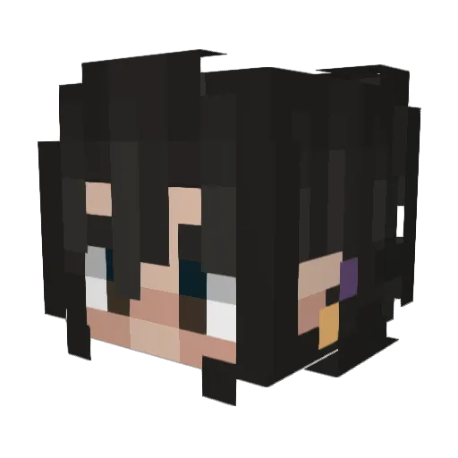 Rascal3051 Minecraft avatar head, 3D render