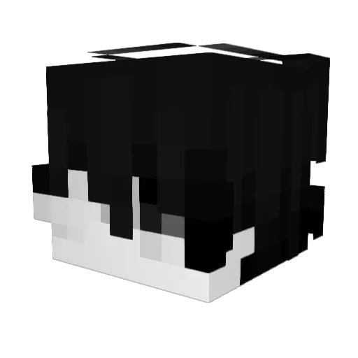 Rascim Minecraft avatar head, 3D render