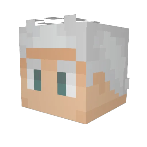RasecSellarum Minecraft avatar head, 3D render
