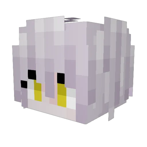RaserJD Minecraft avatar head, 3D render