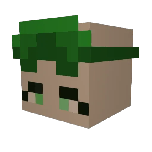 RashPenguine Minecraft avatar head, 3D render