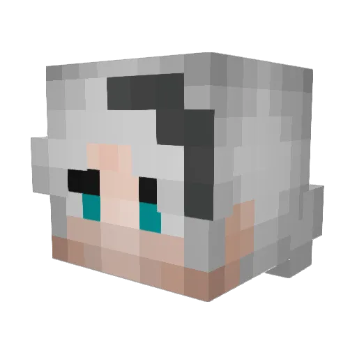 Rashen2112 Minecraft avatar head, 3D render
