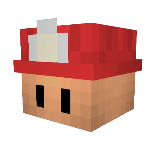 RashhBack Minecraft avatar head, 3D render