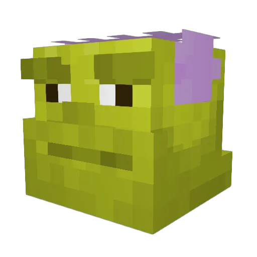 Rashiduwu Minecraft avatar head, 3D render