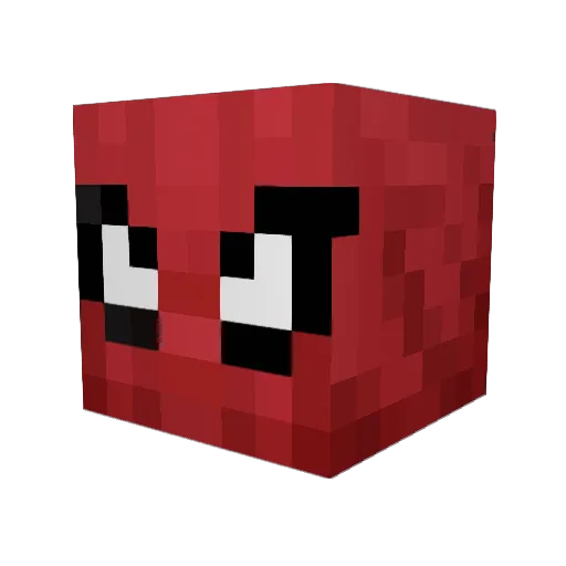 Rashna1337 Minecraft avatar head, 3D render