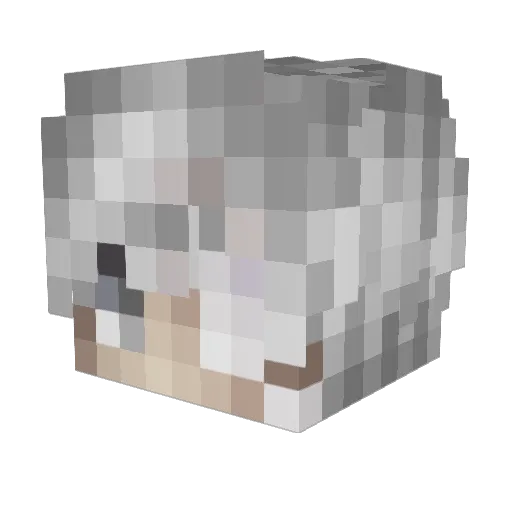 Rashwend Minecraft avatar head, 3D render
