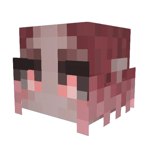 Rasielius Minecraft avatar head, 3D render