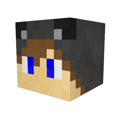Rasiertamk Minecraft avatar head, 3D render