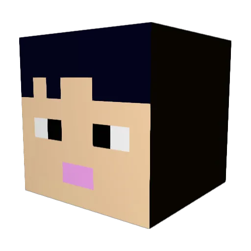Rasillua Minecraft avatar head, 3D render