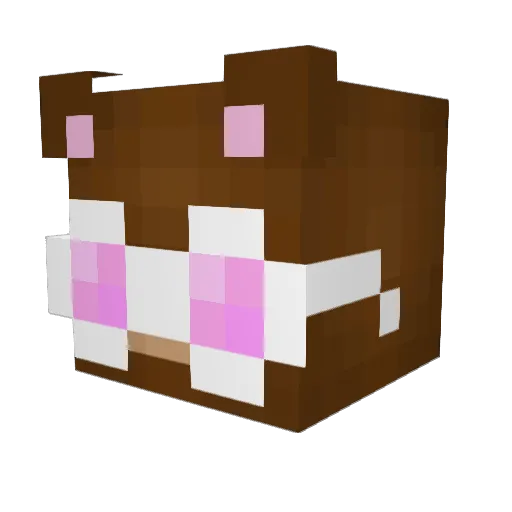 Rasiy Minecraft avatar head, 3D render