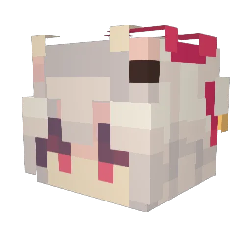 Rask3lly Minecraft avatar head, 3D render
