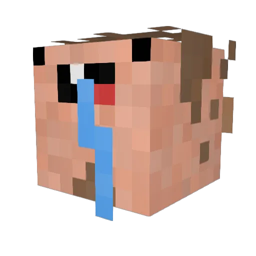 RaskForhud Minecraft avatar head, 3D render