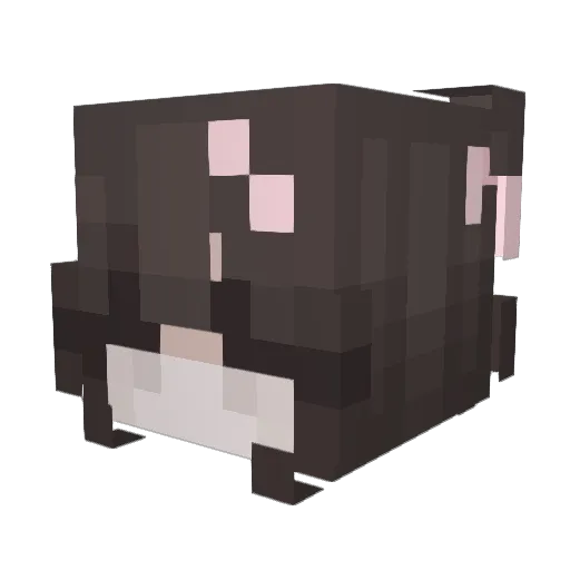 RaskingB Minecraft avatar head, 3D render