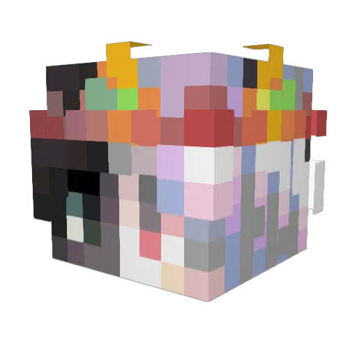 RasmusN1 Minecraft avatar head, 3D render
