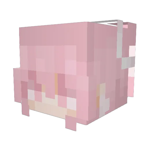 Raspberriijam Minecraft avatar head, 3D render