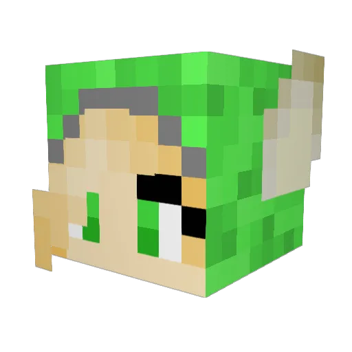 Raspberry1123 Minecraft avatar head, 3D render