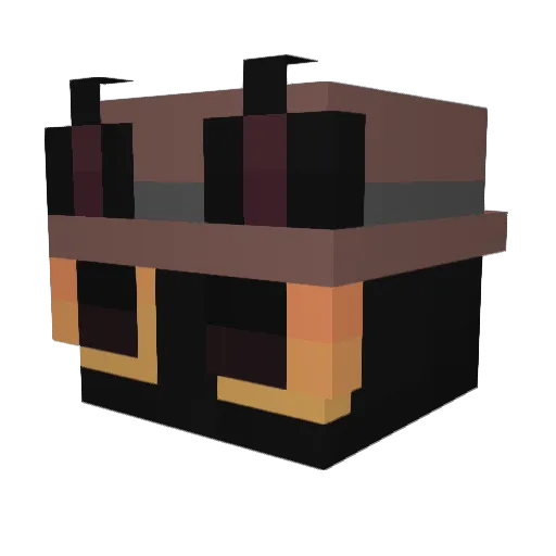 RaspberryMudkip Minecraft avatar head, 3D render