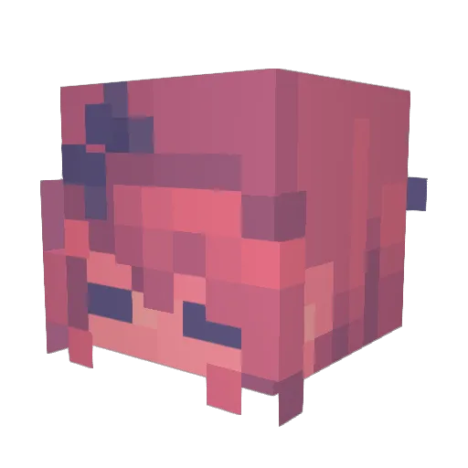 RaspberrySharky Minecraft avatar head, 3D render