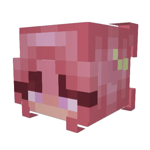 Raspberry_0314 Minecraft avatar head, 3D render