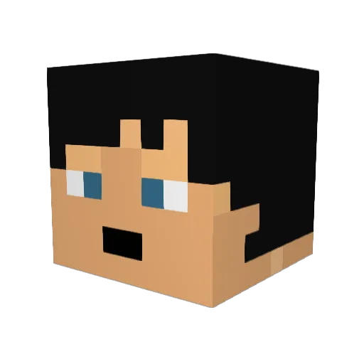 Raspuri Minecraft avatar head, 3D render