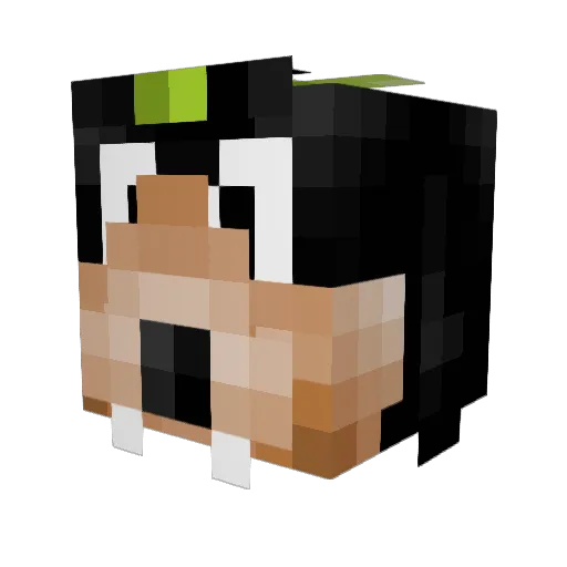 RasputinJunior Minecraft avatar head, 3D render