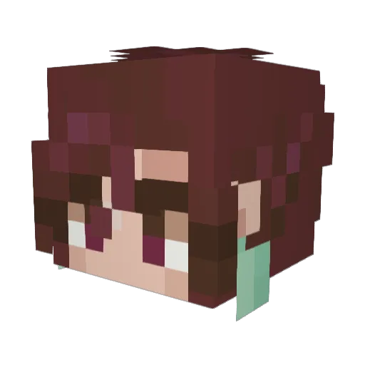 RaspyRelic62558 Minecraft avatar head, 3D render