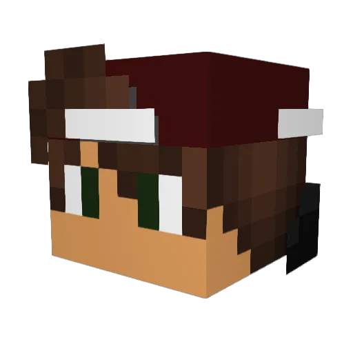 Rasser0411 Minecraft avatar head, 3D render