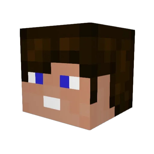 Rassh Minecraft avatar head, 3D render